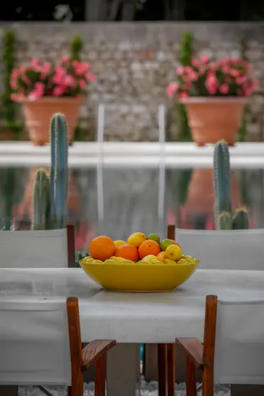 Orangen und Zitronen aus dem Garten