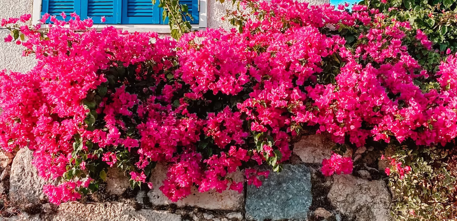 Steinmauer, © BARIŞ KARANLIK/Pexels