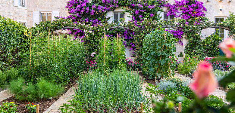 Einblick in de Garten mit bunten Blumen, Gemüse und Früchten