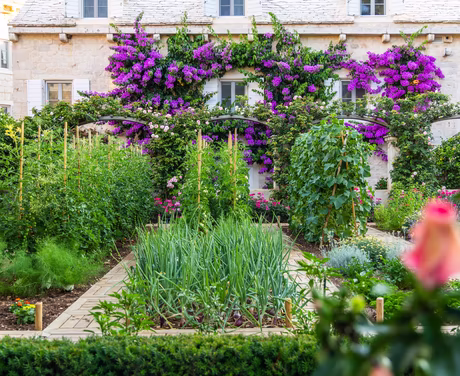 Einblick in de Garten mit bunten Blumen, Gemüse und Früchten