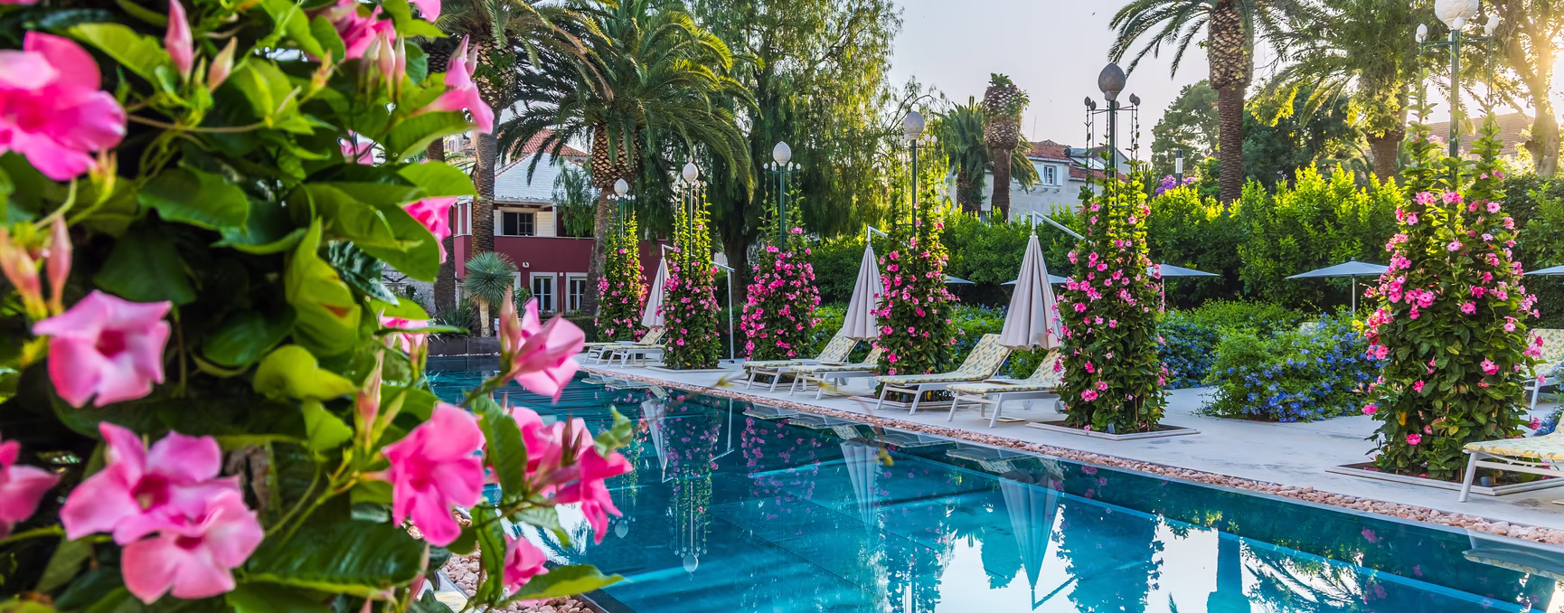 Pool Lemongarden mit blühenden pinken Blumen und blauem Himmel