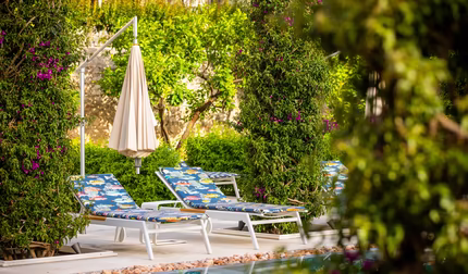 Zwei Liegen vor dem Pool zwischen Palmen und grünen Sträuchern