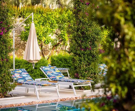 Zwei Liegen vor dem Pool zwischen Palmen und grünen Sträuchern