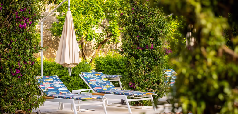 Zwei Liegen vor dem Pool zwischen Palmen und grünen Sträuchern