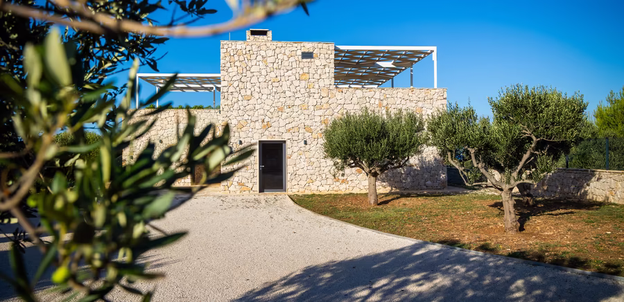 Olivenhaus aus Stein mit vielen Olivenbäumen 