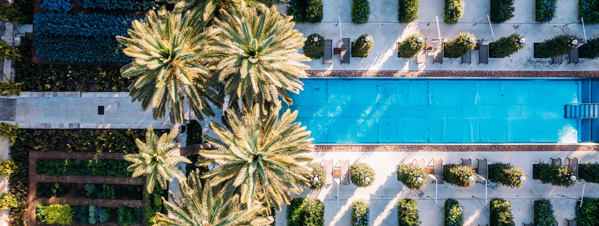großer Pool mit Palmen und Liegen von oben