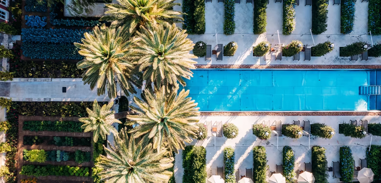 großer Pool mit Palmen und Liegen von oben