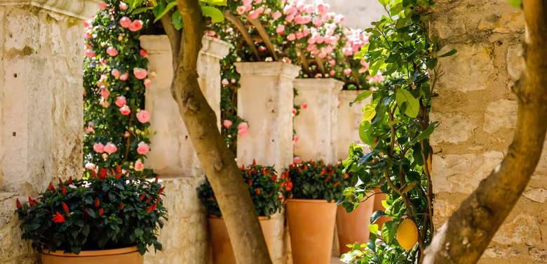 Spazierweg durch den Garten mit vielen verschiedenen Blumen und Bäumen