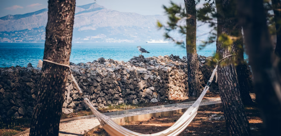 Hängematte zwischen zwei Bäumen mit Meerblick