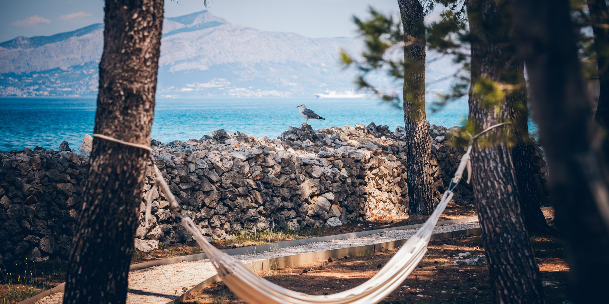 Hängematte zwischen zwei Bäumen mit Meerblick