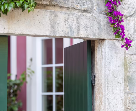 Bunte Blumen wachsen über Eingangstür 