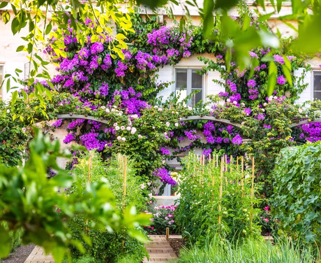 Garten Hotel Lemongarden